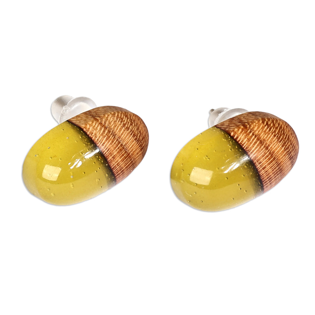 Apricot Wood and Yellow Resin Oval Button Earrings - Golden Woods