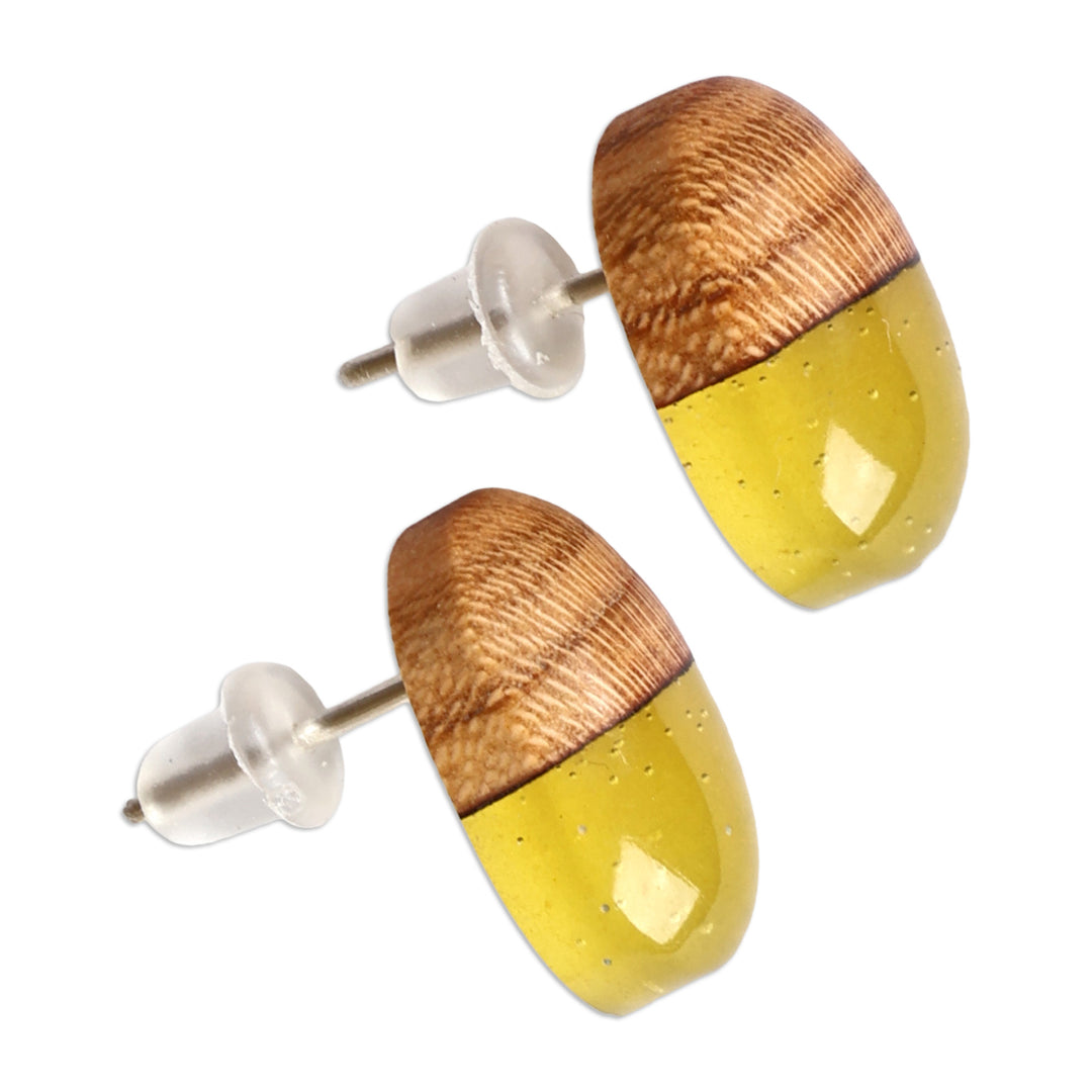 Apricot Wood and Yellow Resin Oval Button Earrings - Golden Woods