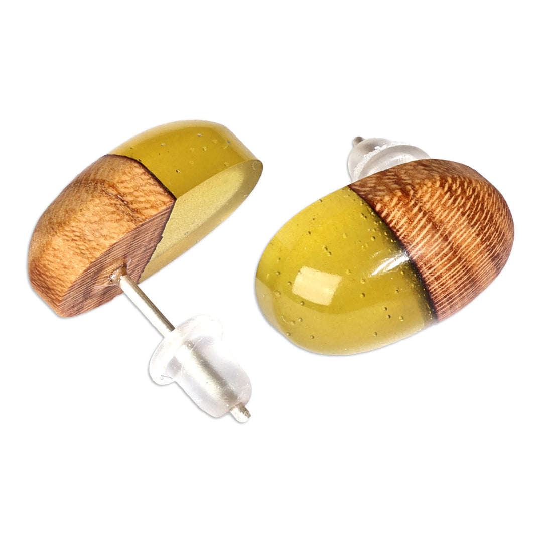 Apricot Wood and Yellow Resin Oval Button Earrings - Golden Woods