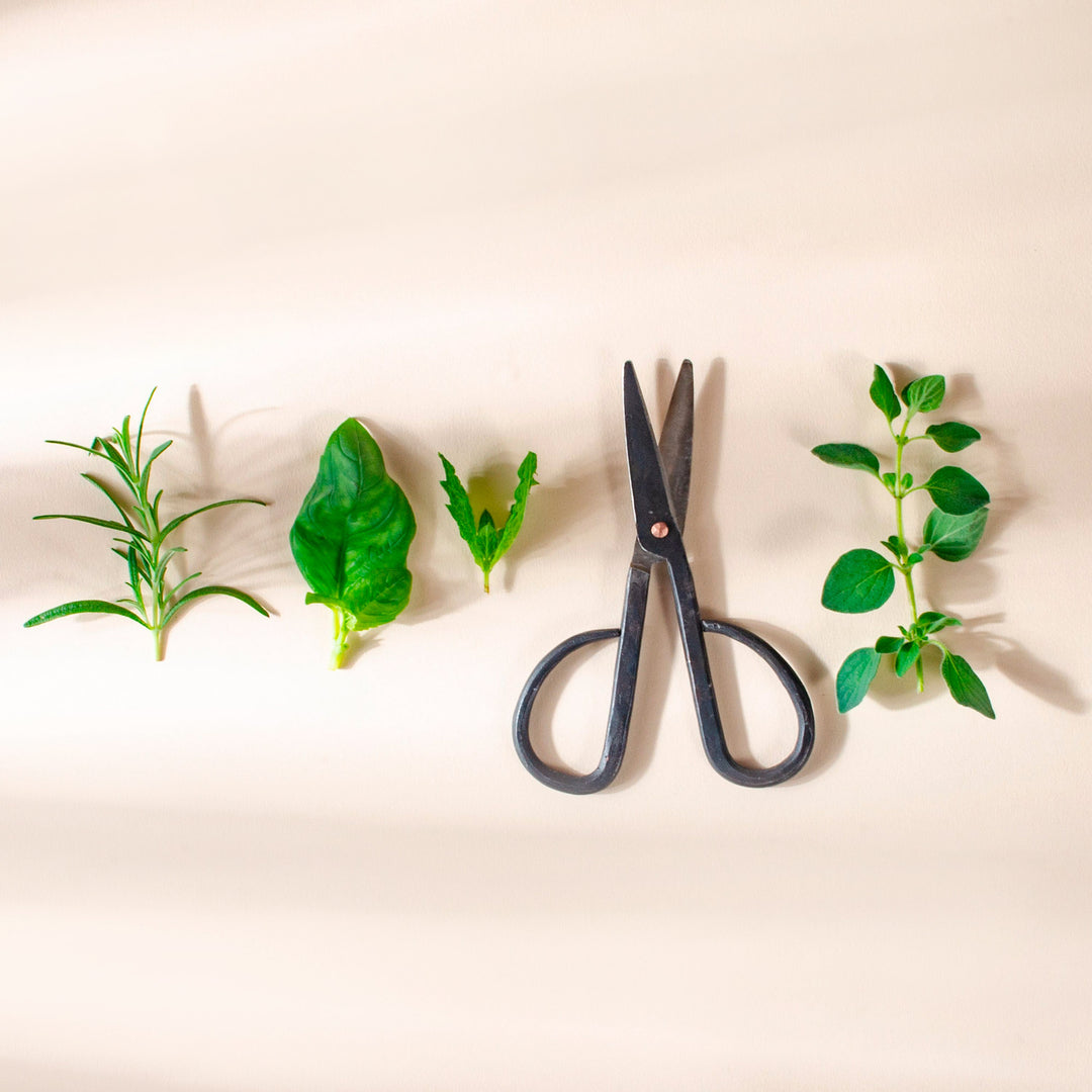 Easy Clippings