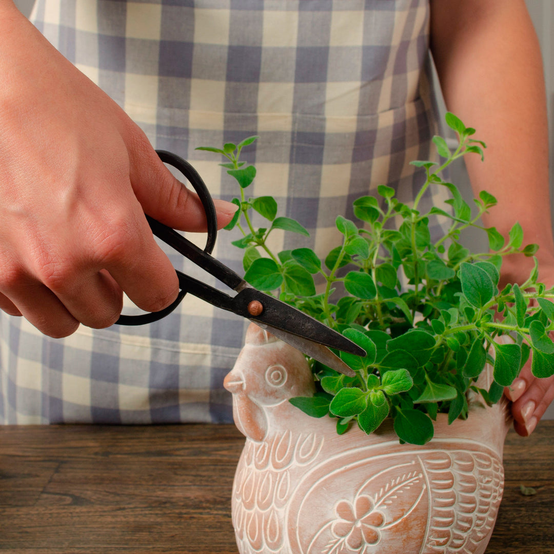 Pair of Small Gardening Herb Scissors from India - Easy Clippings
