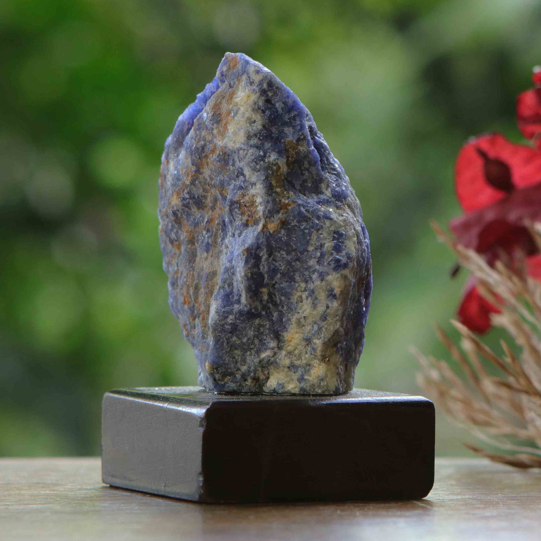 Natural Sodalite Sculpture with Black Pine Wood Base - Blue Confidence