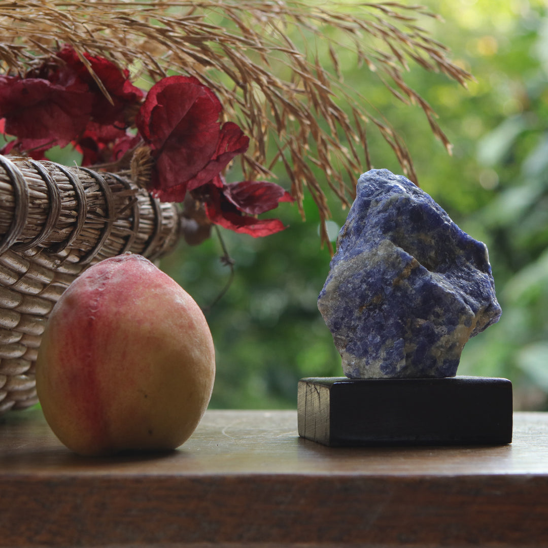 Natural Sodalite Sculpture with Black Pine Wood Base - Blue Confidence