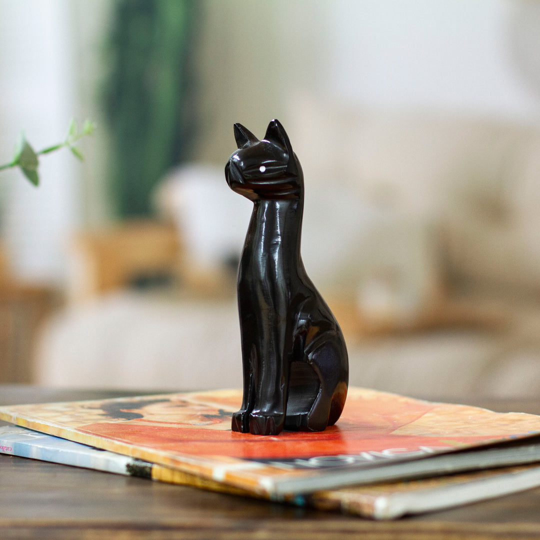 Black Fabulous Feline