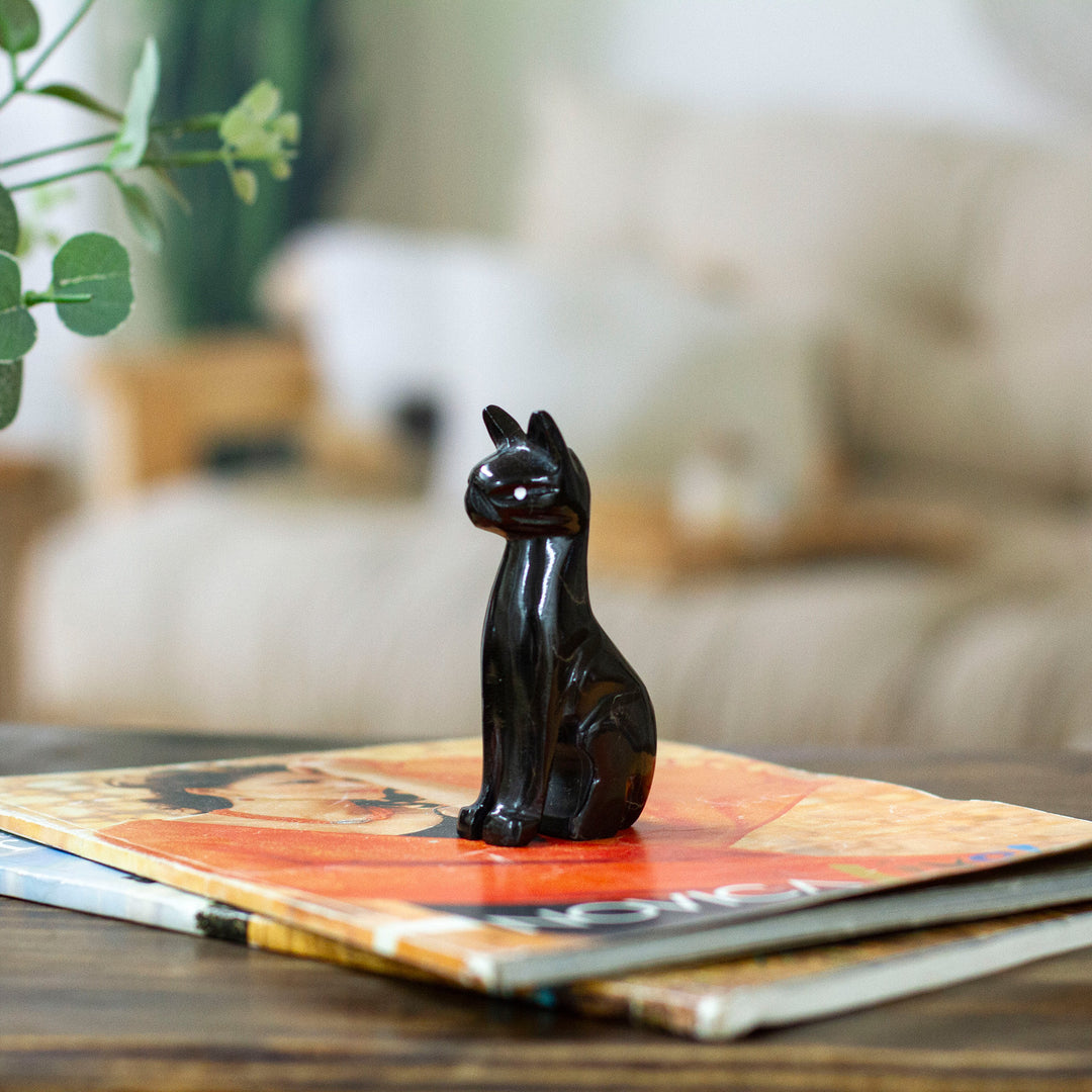 Onyx Fabulous Feline