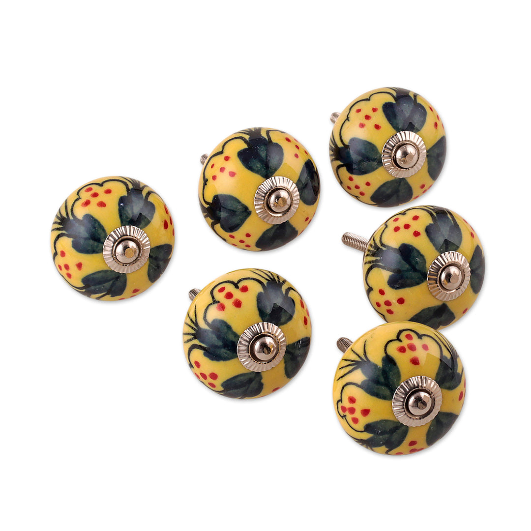 Summer-Inspired Painted 6-Piece Glazed Ceramic Knob Set - Sunny Years