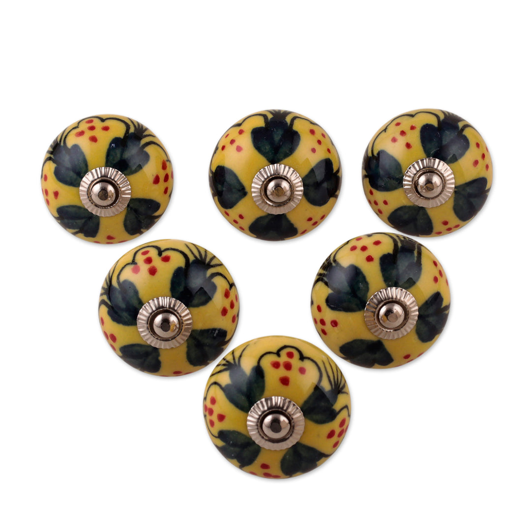 Summer-Inspired Painted 6-Piece Glazed Ceramic Knob Set - Sunny Years
