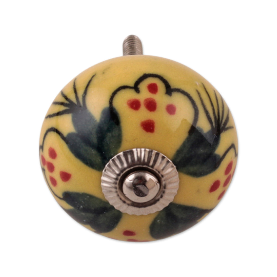 Summer-Inspired Painted 6-Piece Glazed Ceramic Knob Set - Sunny Years