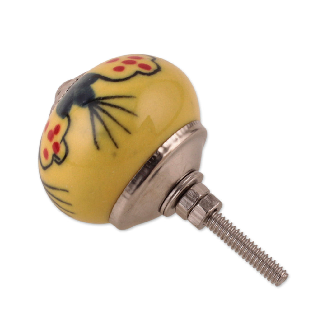 Summer-Inspired Painted 6-Piece Glazed Ceramic Knob Set - Sunny Years