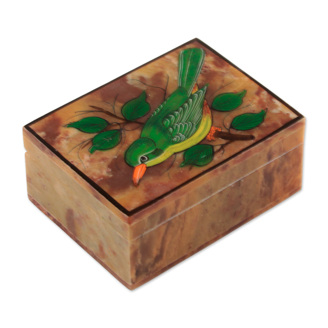 Hand-Painted Bird-Themed Natural Soapstone Box Made in India - Bird of Arts