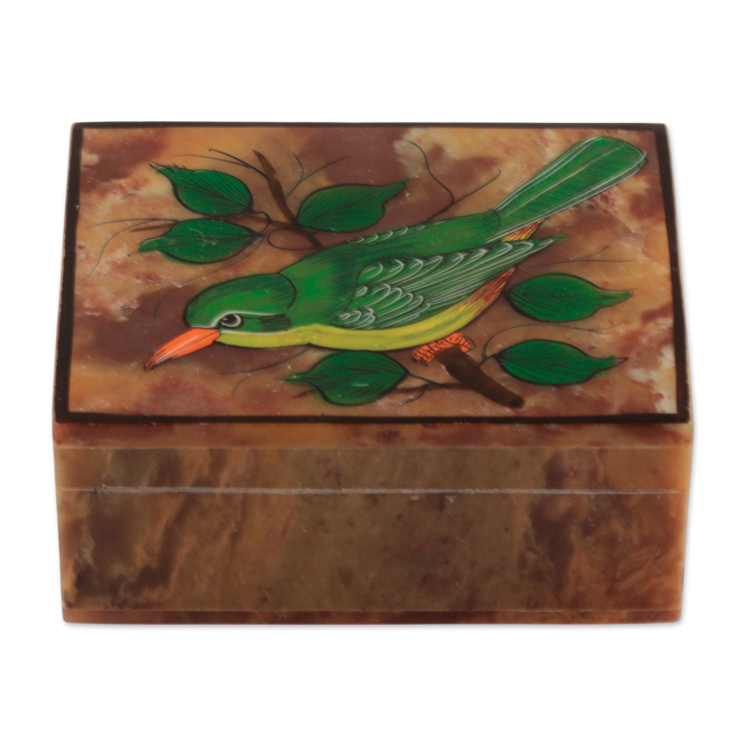 Hand-Painted Bird-Themed Natural Soapstone Box Made in India - Bird of Arts