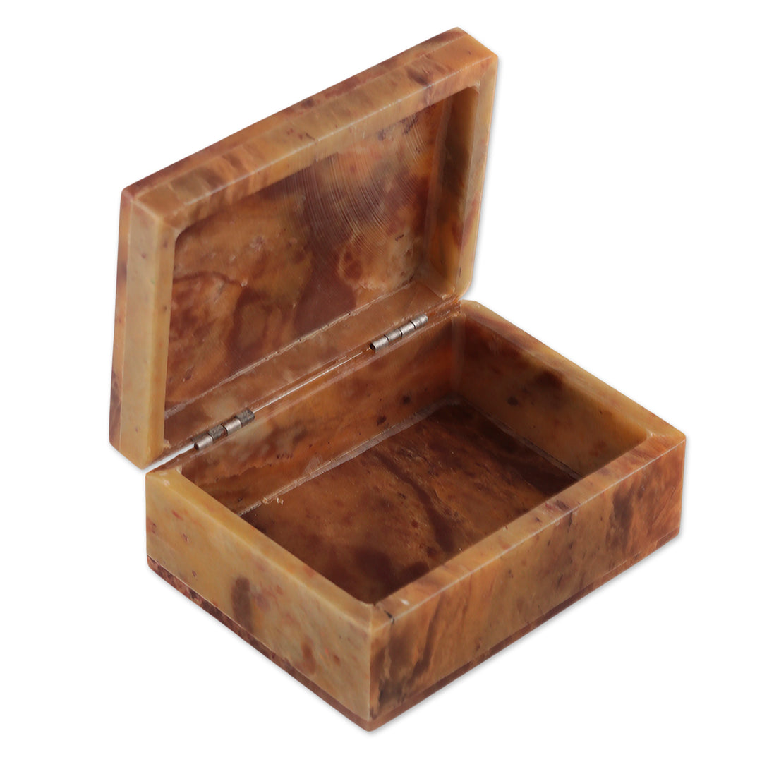 Hand-Painted Bird-Themed Natural Soapstone Box Made in India - Bird of Arts