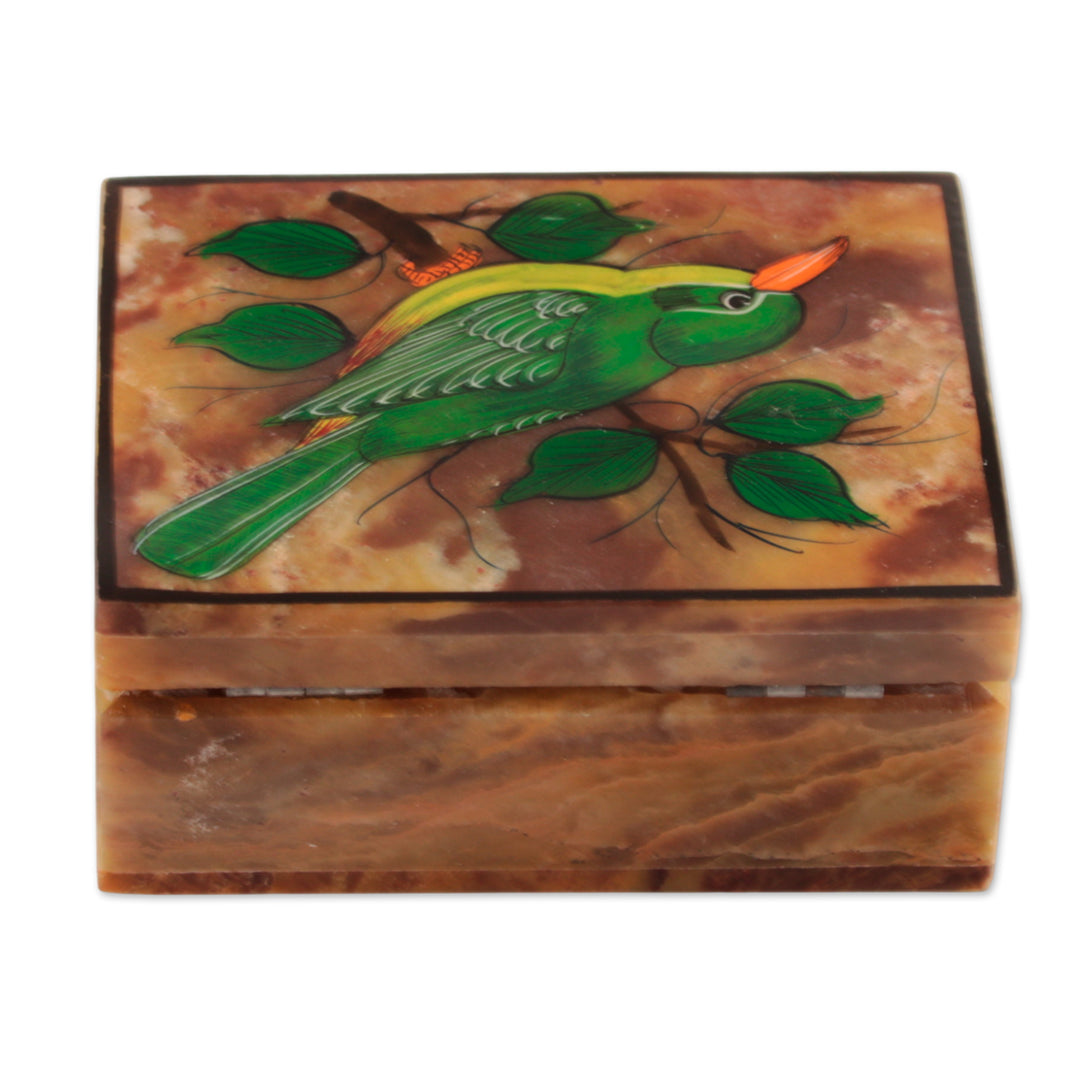 Hand-Painted Bird-Themed Natural Soapstone Box Made in India - Bird of Arts