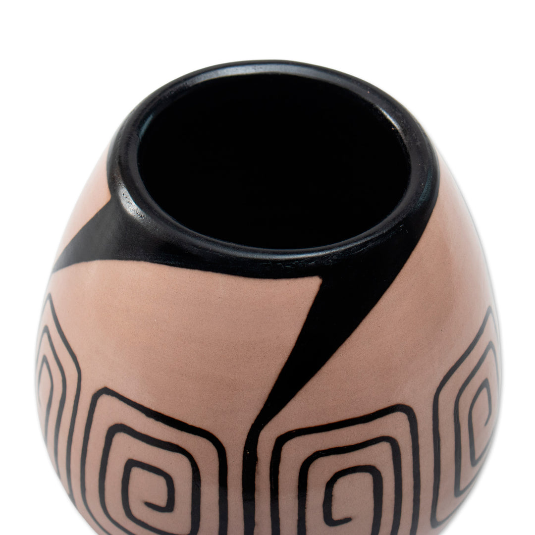 Spiral-Themed Folk Art Chulucanas Ceramic Decorative Vase - Spiral of Life