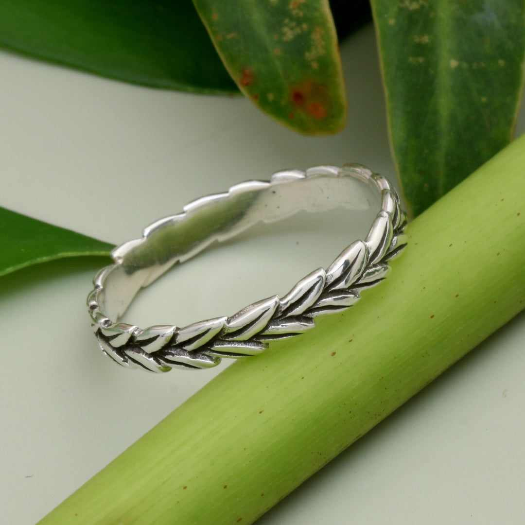 Wonderful Wheat