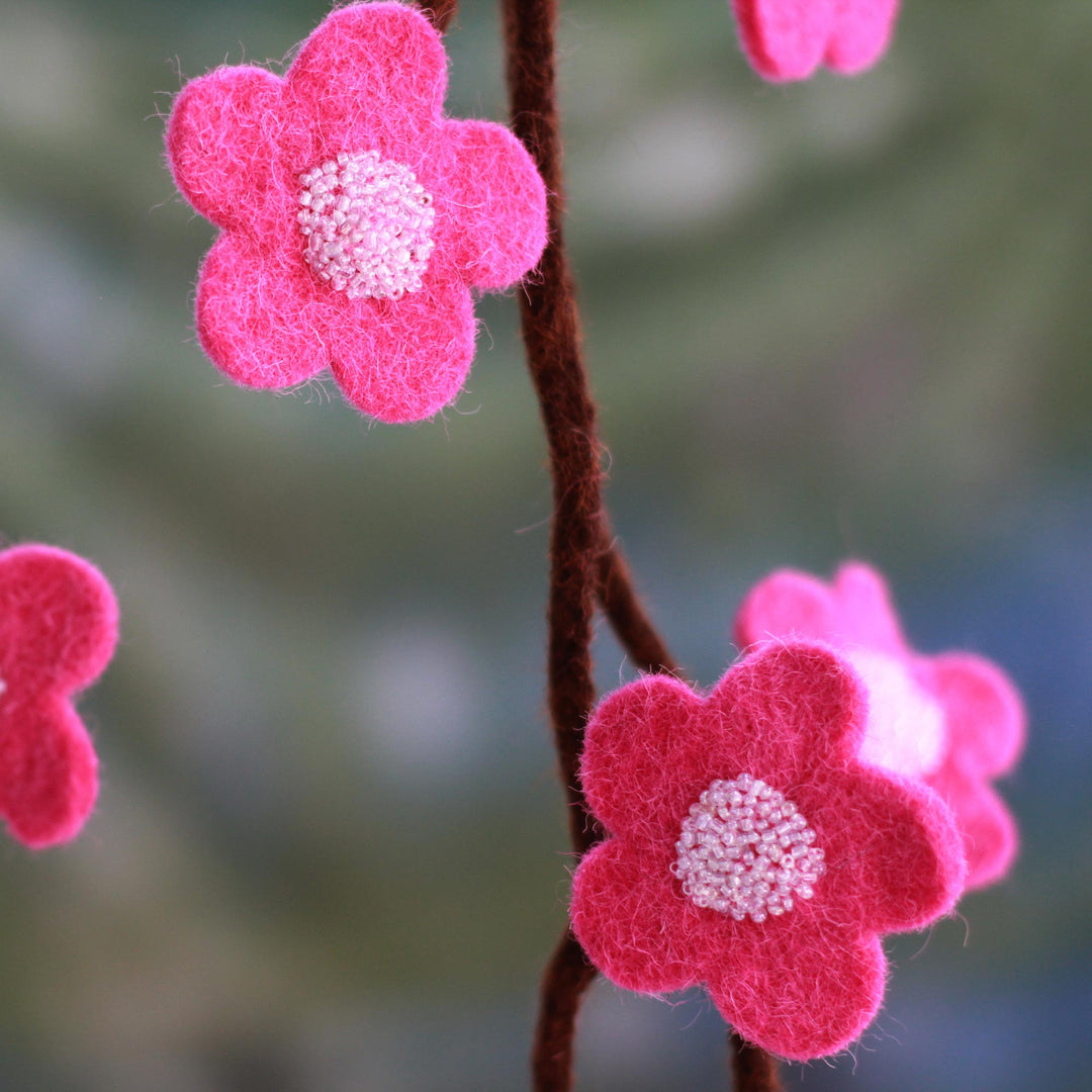 Hot Pink Blossoms