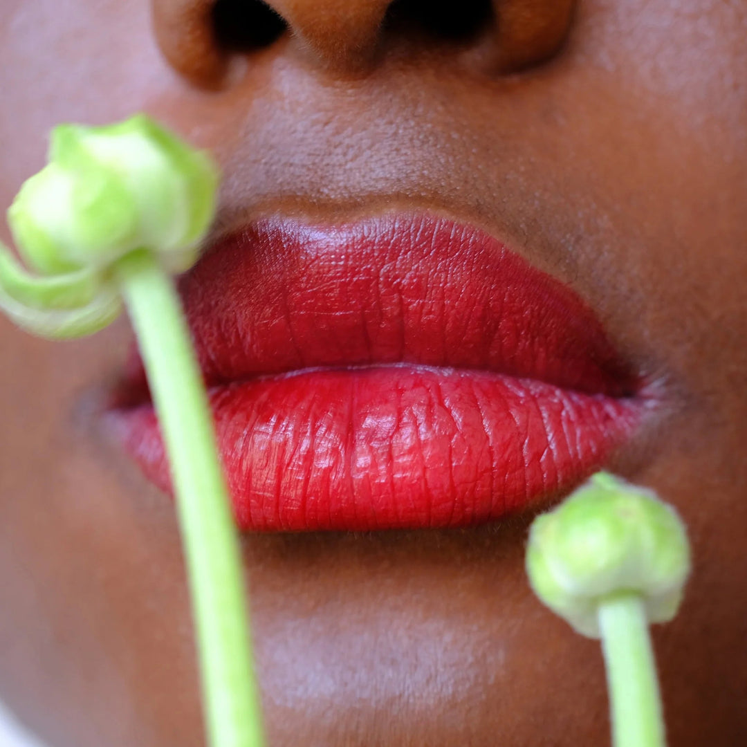 Semi-Matte Red Multistick Lip Makeup from Fluency Beauty - I Am Brave
