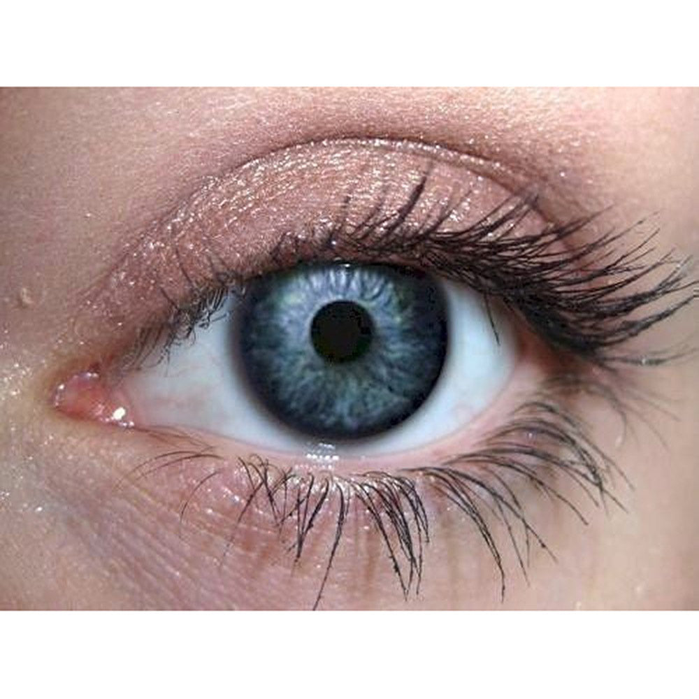 Highly-Pigmented Soft Brown Eyeshadow - Fall Fresh
