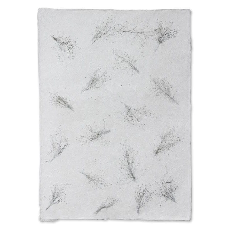 Saa Wrapping Paper (Set of 4) - Winter Garden