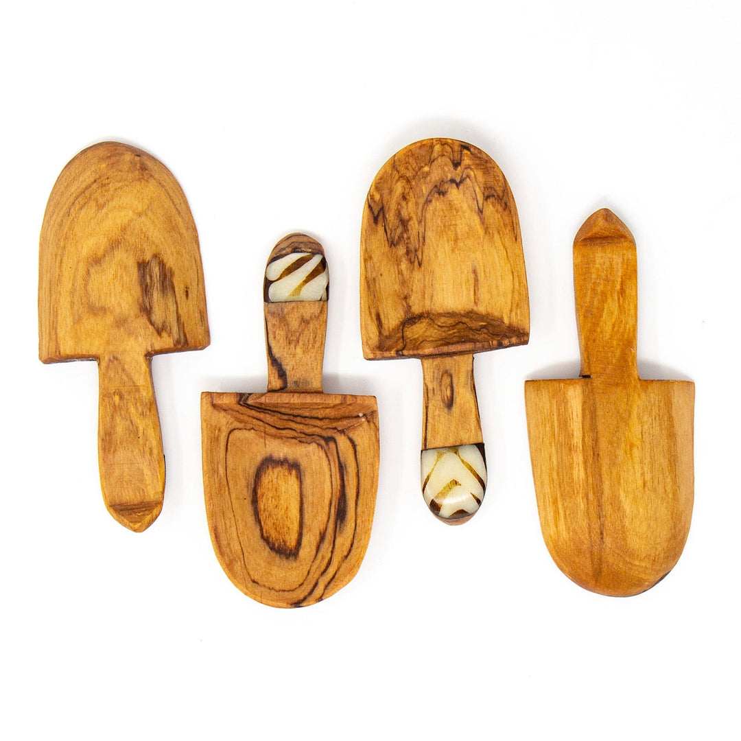 Medium Shovel Olive Wood Scoop