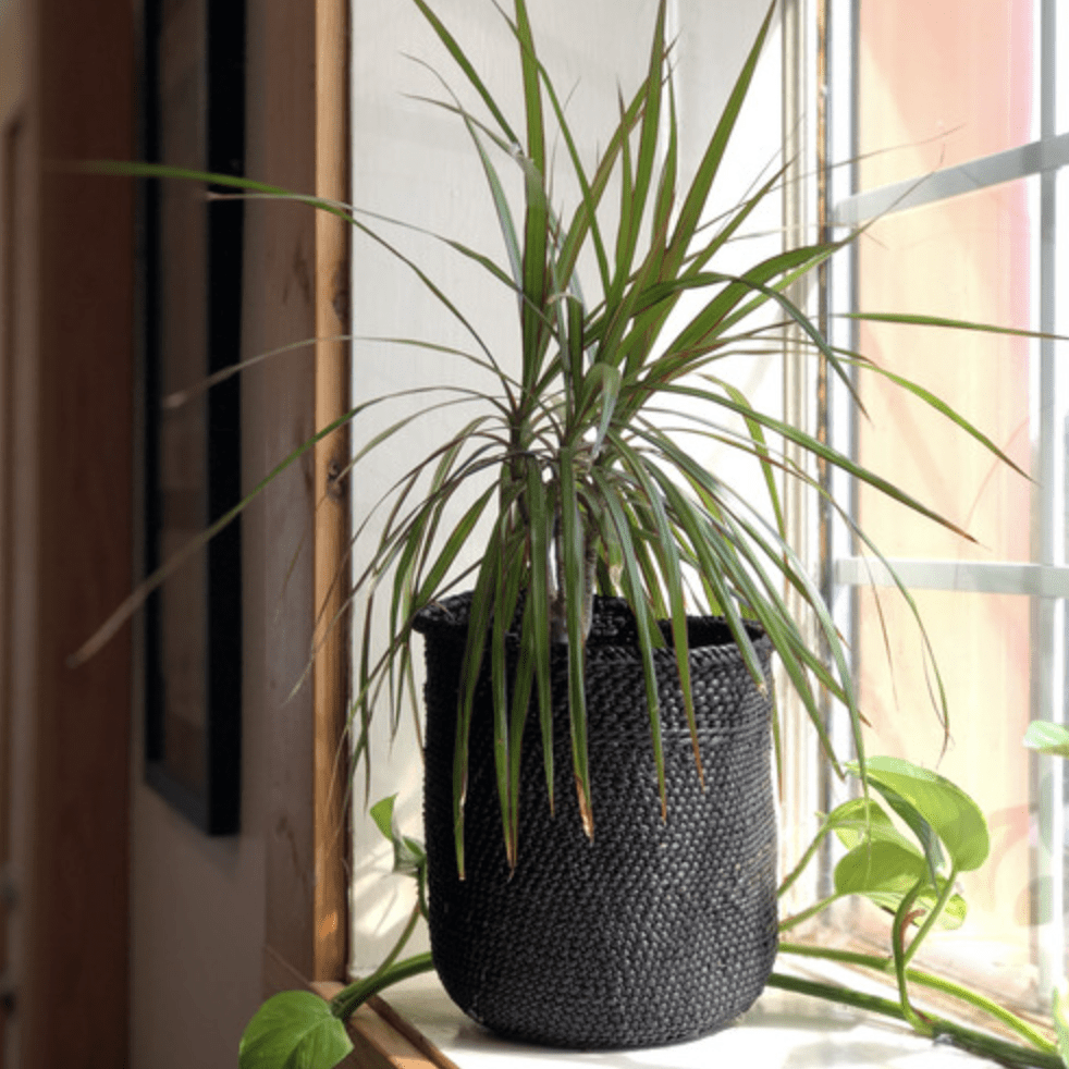 Iringa Full Small Basket - Black