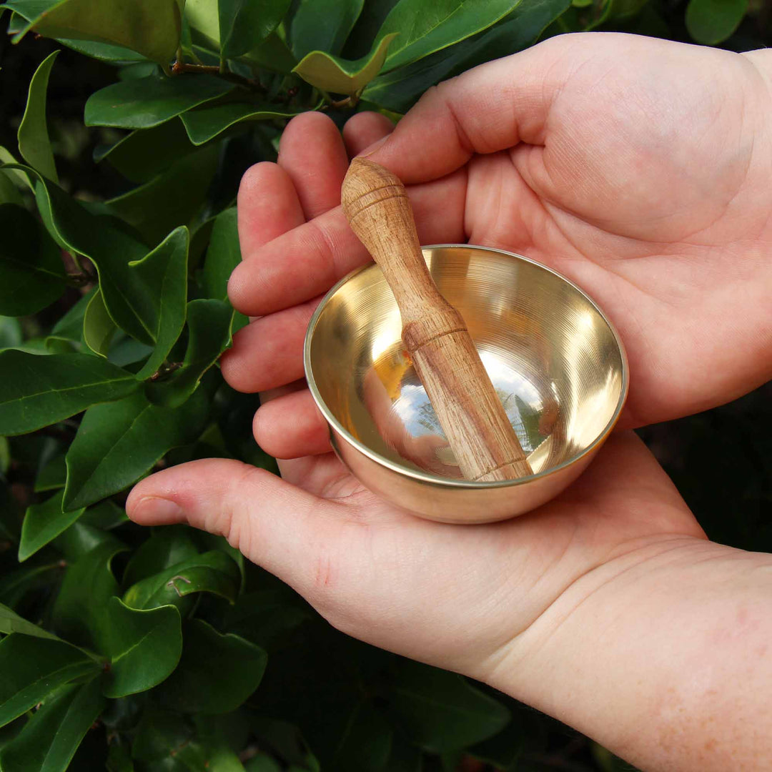 Meditation Bowl and Box: 3'' Red Lotus - Special Offer 60% Off