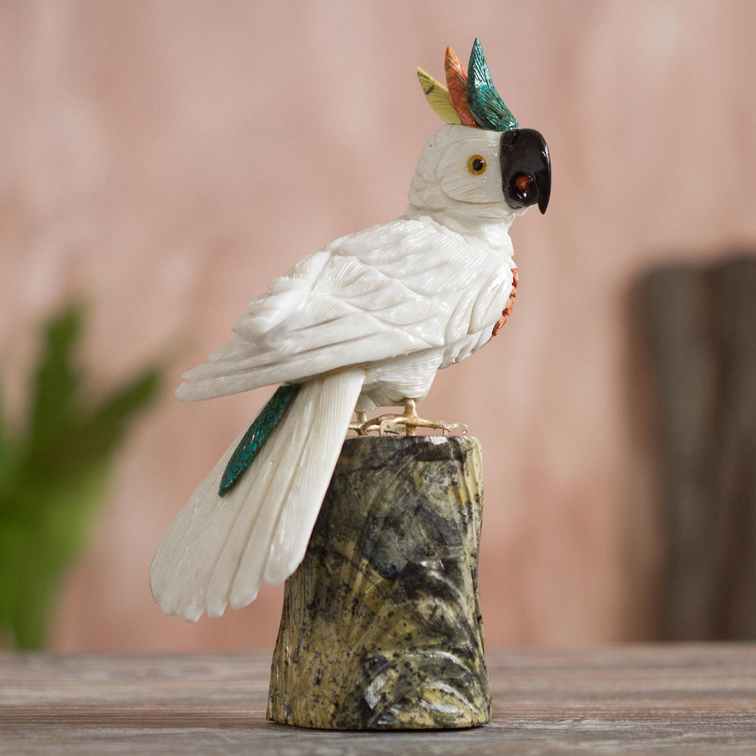 White Cockatoo