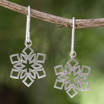 Blossoming Snowflakes