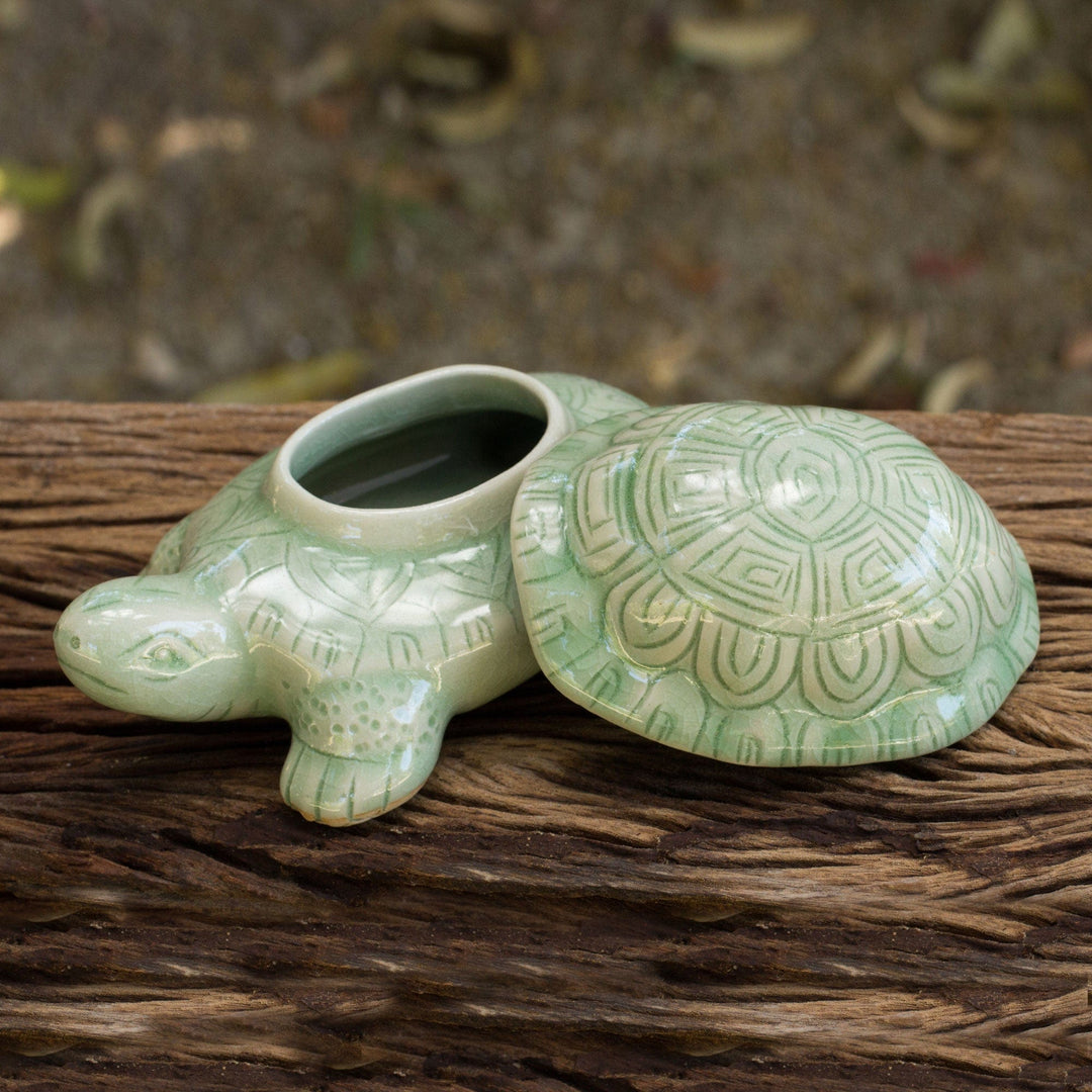 Handcrafted Green Thai Celadon Ceramic Turtle Box - Green Thai Turtle