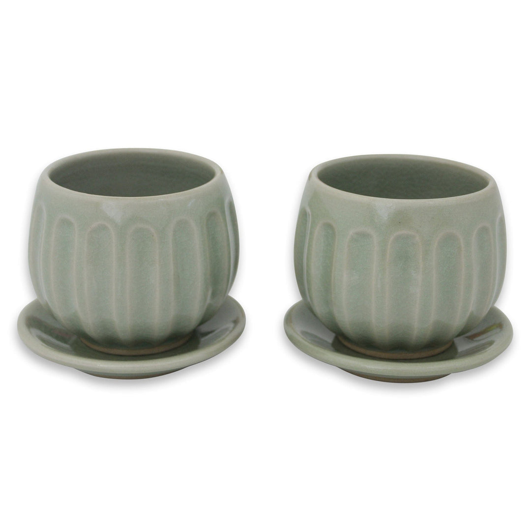 Fair Trade Thai Celadon Ceramic Teacups and Saucers (pair) - Thai Jade