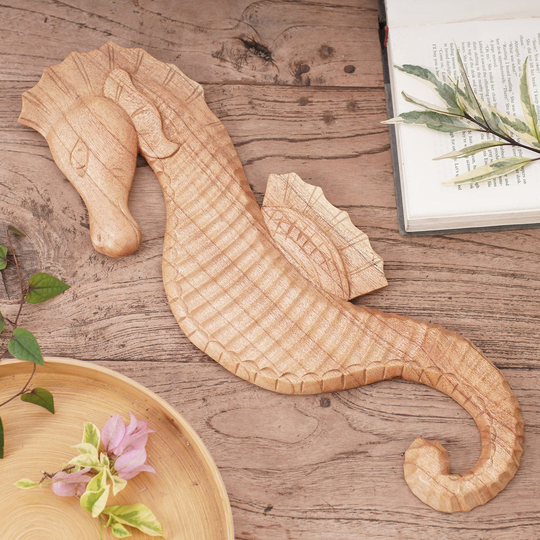 Natural Seahorse