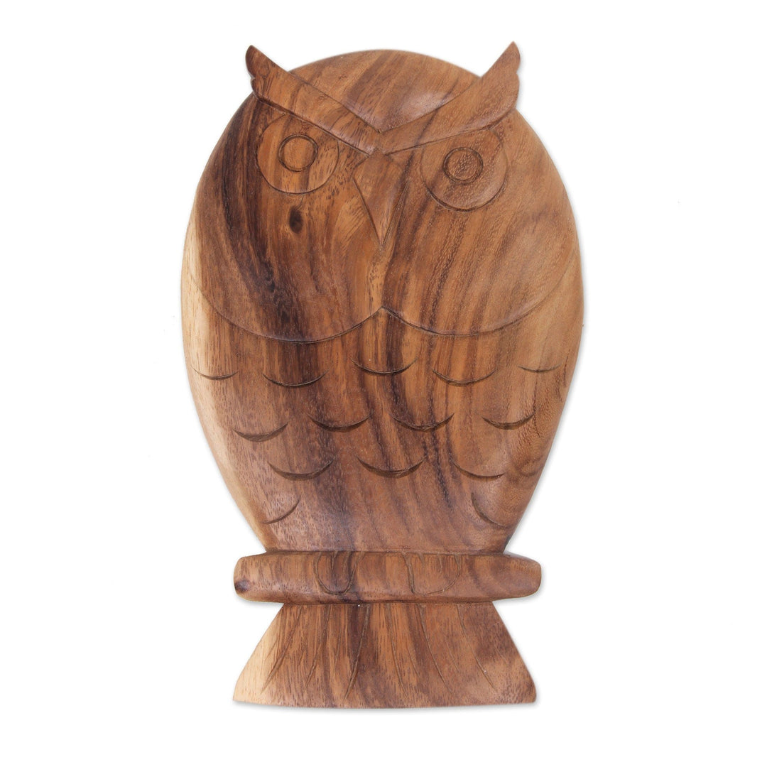 Hand Carved Wood Owl Wall Panel Sculpture from Bali - Owl Philosophy