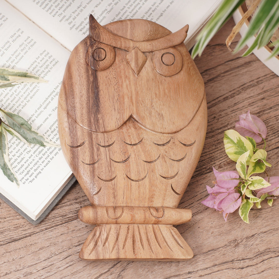 Hand Carved Wood Owl Wall Panel Sculpture from Bali - Owl Philosophy