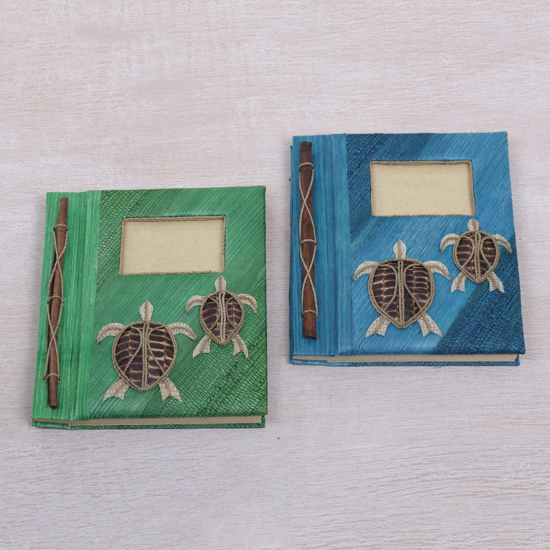 Turtle Memories