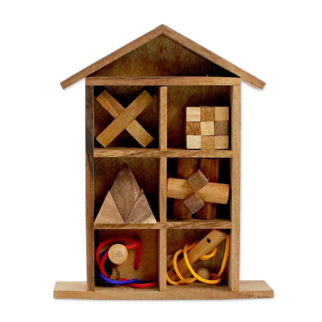 Six Rain Tree Wood Puzzles with Box from Thailand - Household Challenge