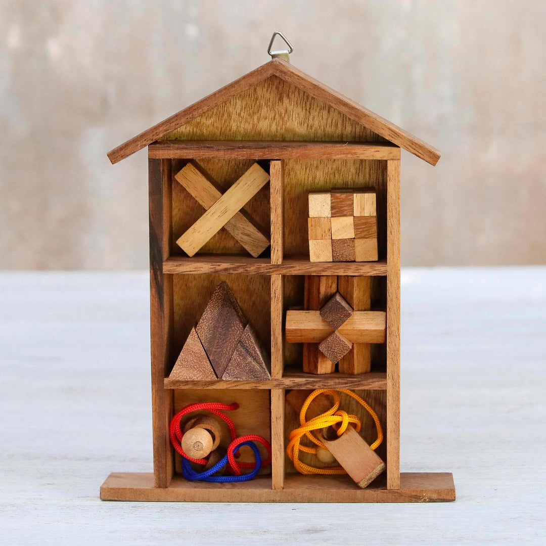 Six Rain Tree Wood Puzzles with Box from Thailand - Household Challenge