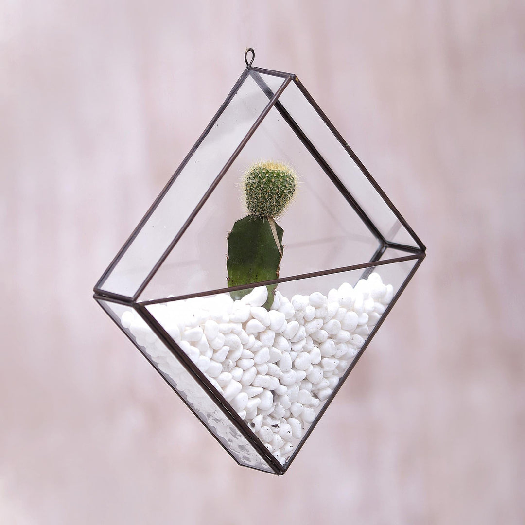 Handmade Javanese Glass and Brass Plant Terrarium - Garden Desire