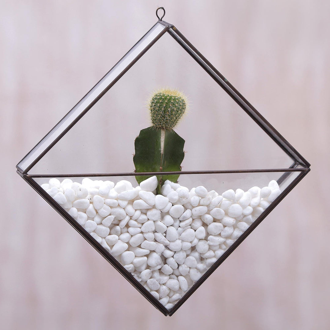 Handmade Javanese Glass and Brass Plant Terrarium - Garden Desire