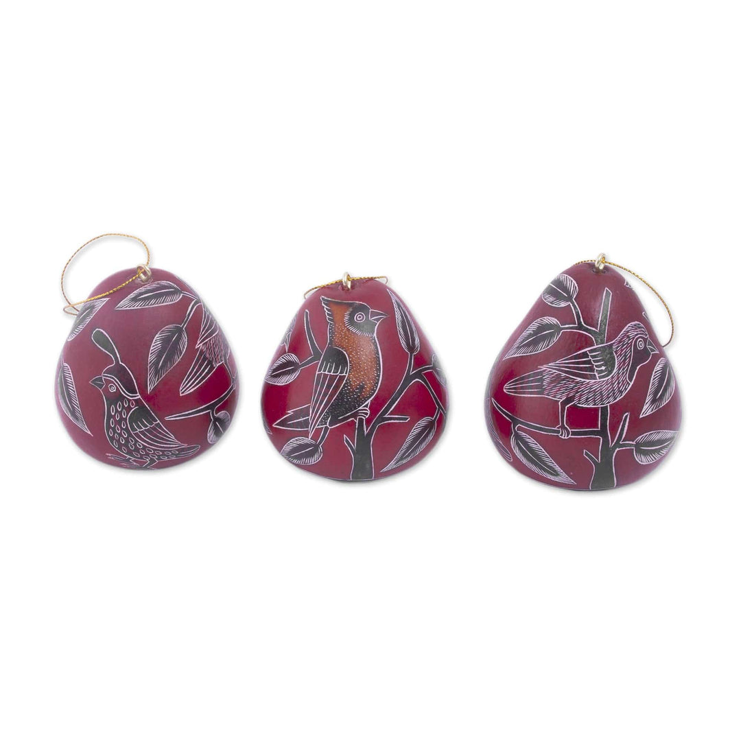 Dried Mate Gourd Hanging Bird Ornaments from Peru(set of 3) - Moon Birds