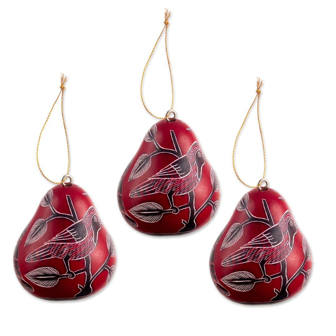 Dried Mate Gourd Hanging Bird Ornaments from Peru(set of 3) - Moon Birds