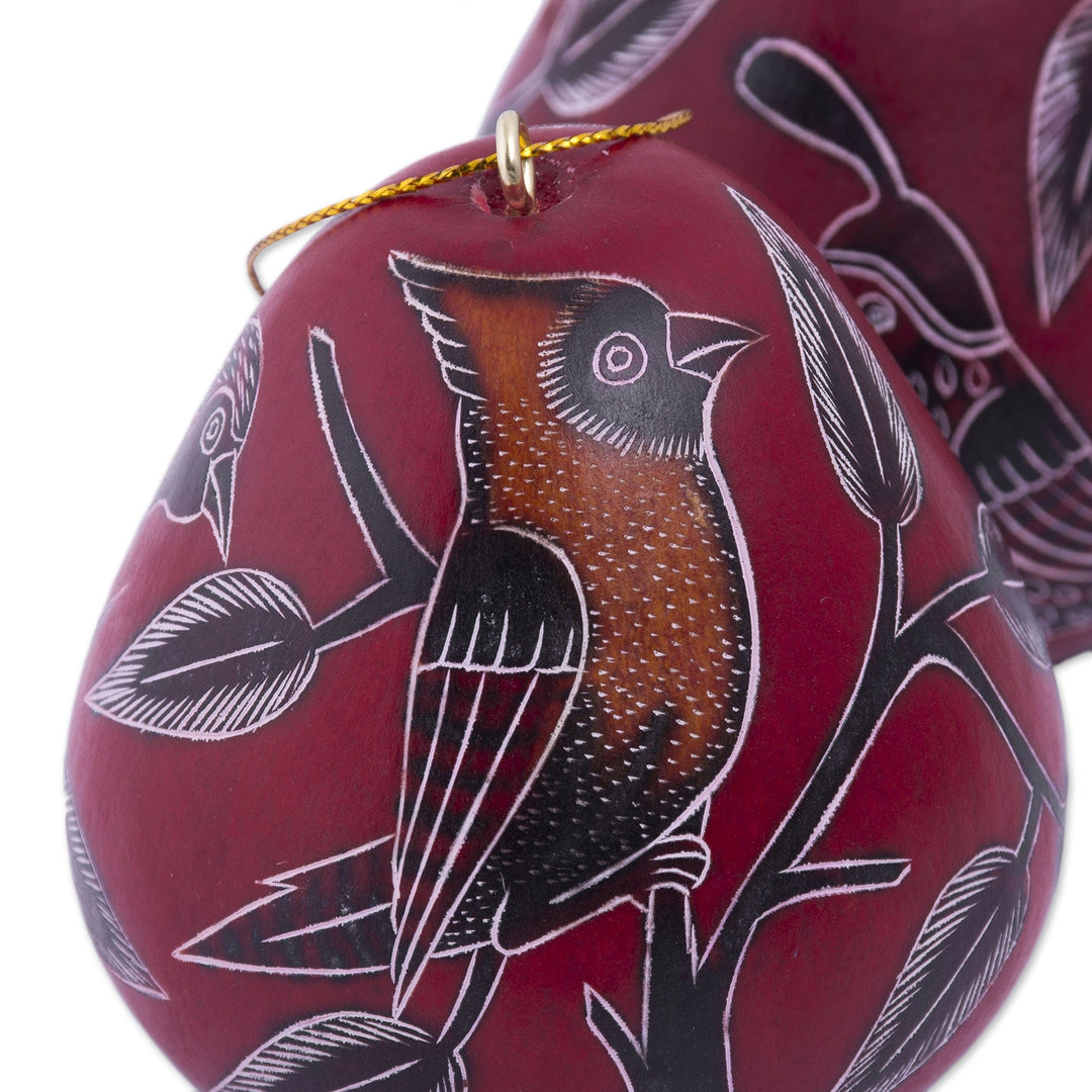 Dried Mate Gourd Hanging Bird Ornaments from Peru(set of 3) - Moon Birds