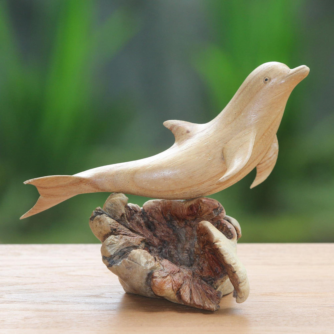 Joyous Dolphin