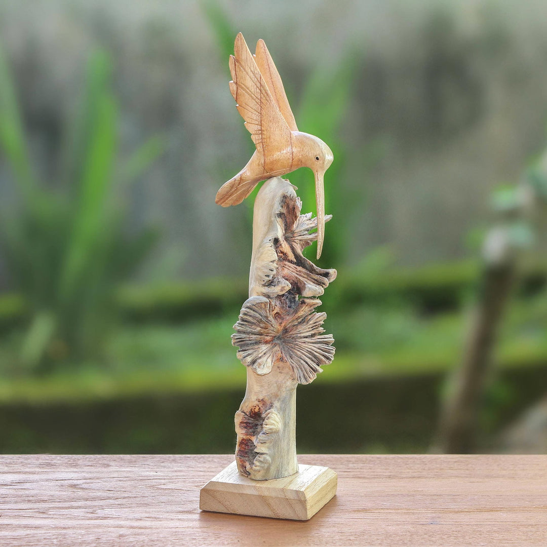 Hummingbird Flight