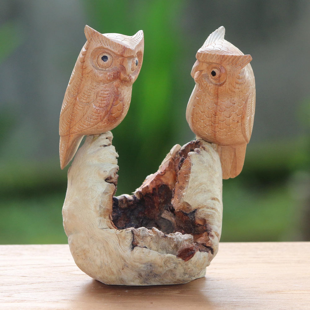 Owl Lovers