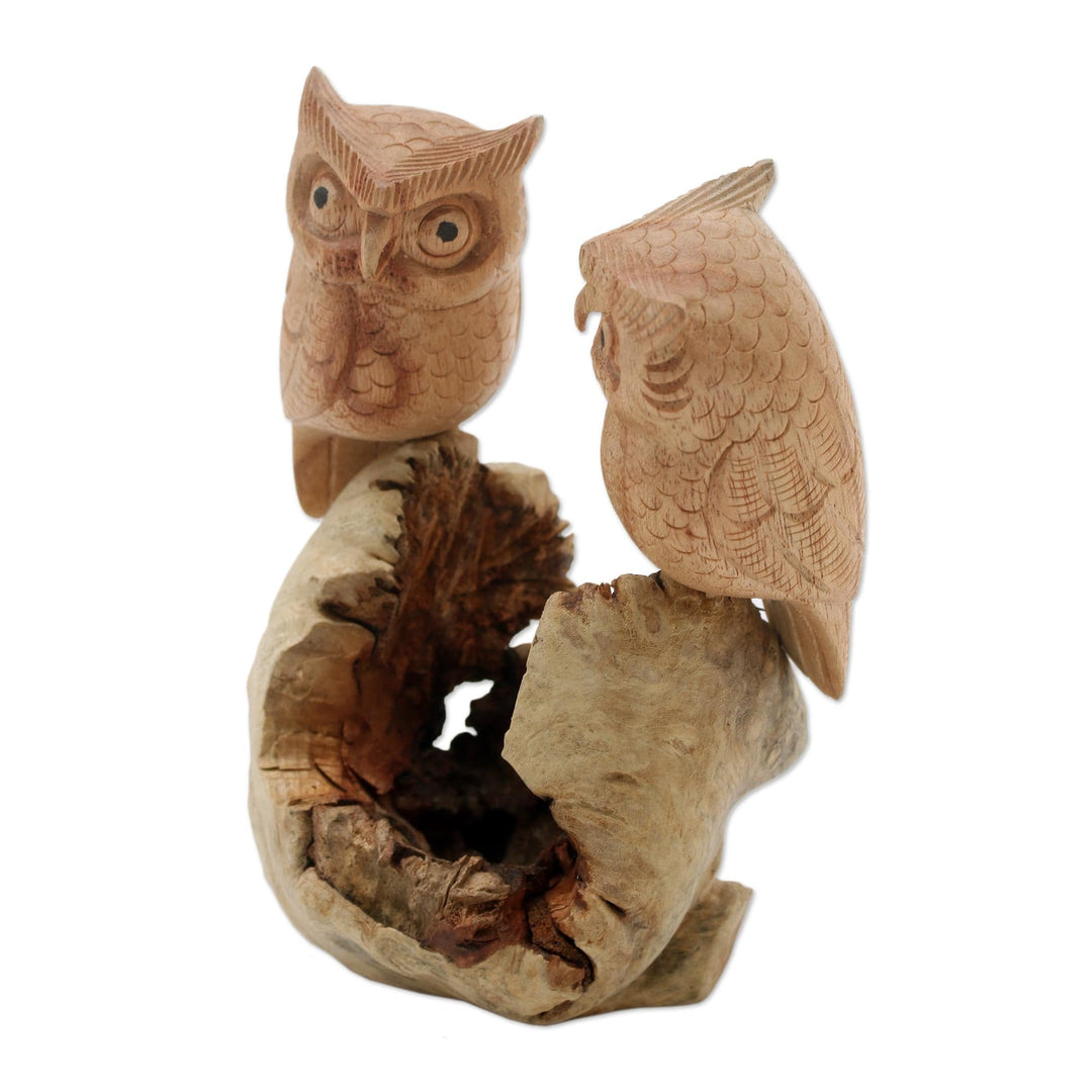 Hand-Carved Jempinis Wood Owl Couple Tree Sculpture - Owl Lovers