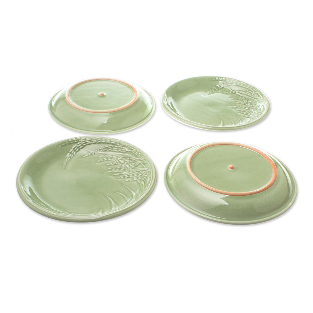 Rice-Themed Celadon Ceramic Plates from Thailand (Set of 4) - Thai Rice