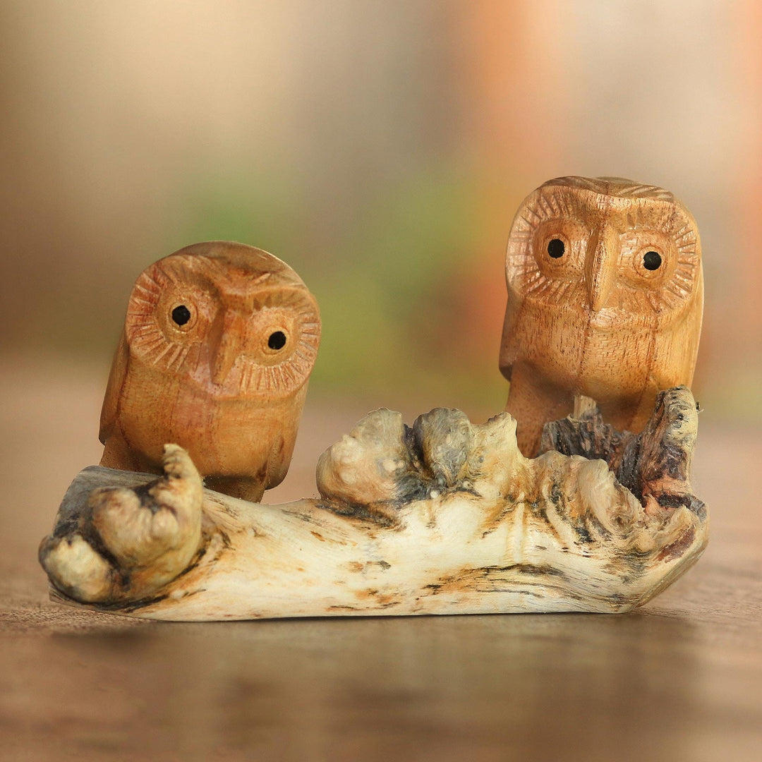 Owl Romance