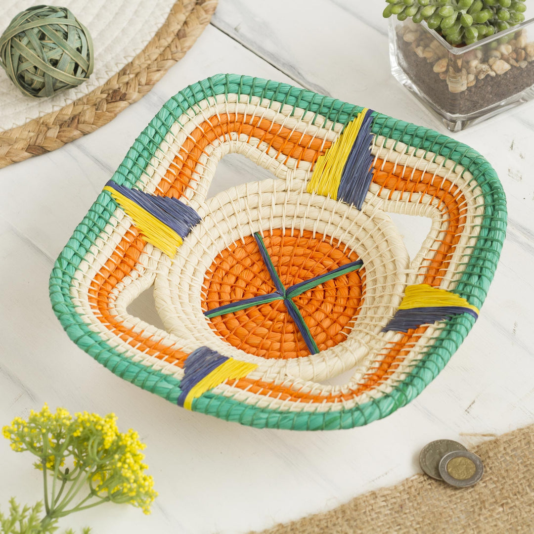 Jungle Compass
