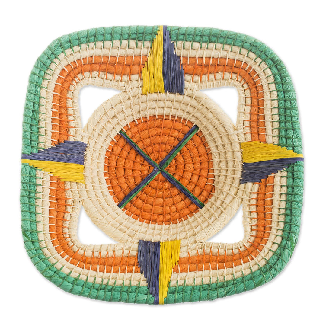Handwoven Chambira Tree Fiber Decorative Basket from Peru - Jungle Compass