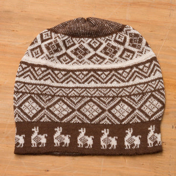 Alpaca Parade in Brown